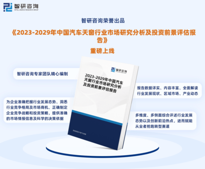 2023年中國(guó)汽車天窗行業(yè)市場(chǎng)深度調(diào)研與投資前景展望