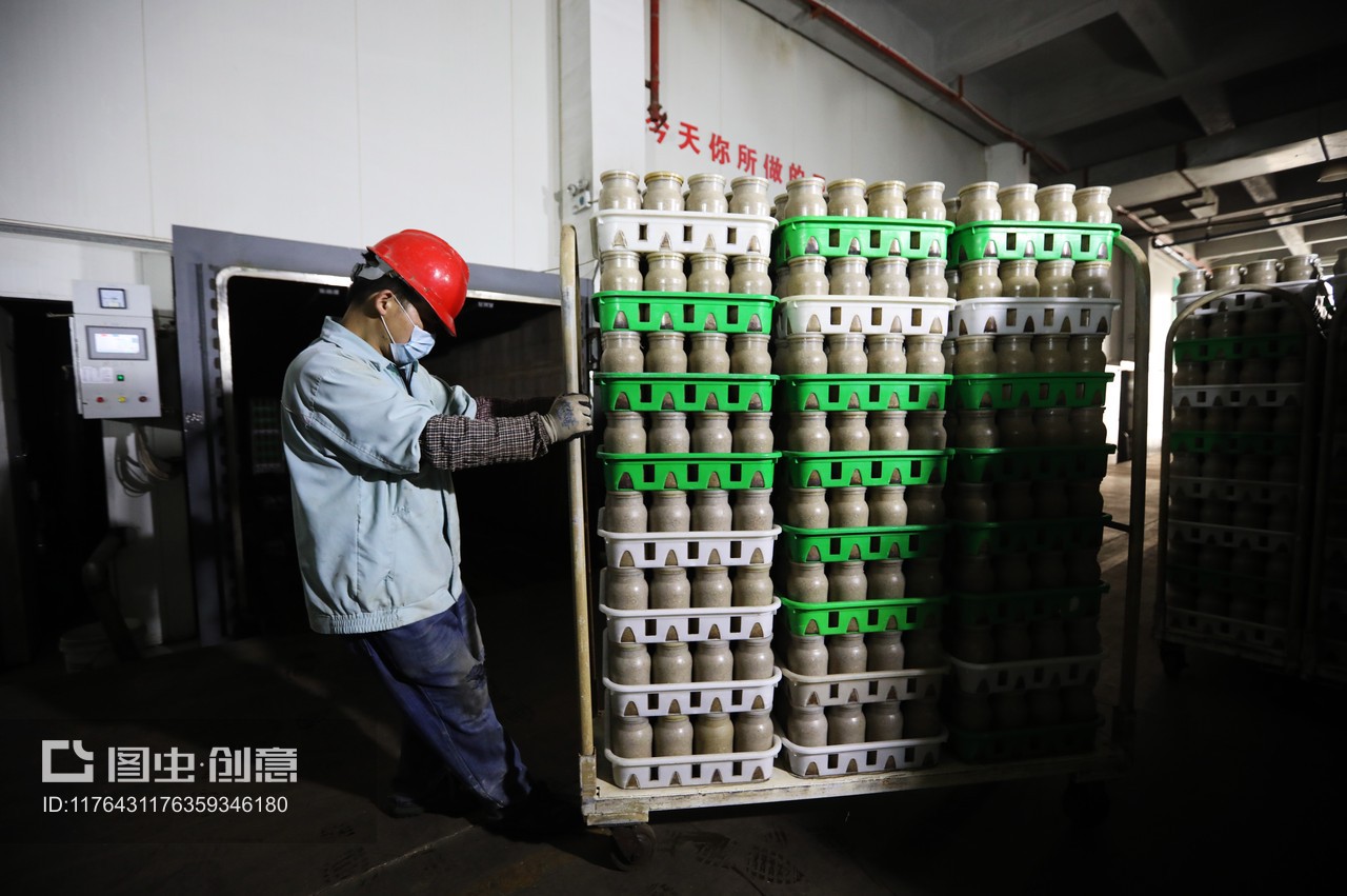 獨(dú)家:日產(chǎn)金針菇80噸 這個(gè)基地成江蘇之最