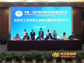 聚焦節(jié)能環(huán)保產(chǎn)業(yè)發(fā)展 16個工業(yè)項目落戶自貢
