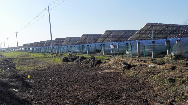 灌南宏耀環(huán)保17MW農(nóng)光互補(bǔ)光伏發(fā)電項(xiàng)目位于縣經(jīng)濟(jì)開發(fā)區(qū)_江蘇文明網(wǎng)