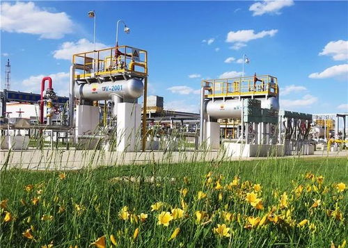 守護(hù)毛烏素的碧水藍(lán)天 長慶油田采氣三廠環(huán)保效益開發(fā)始終在路上