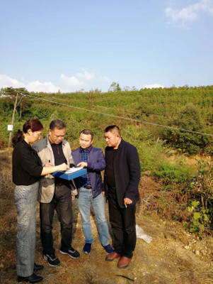 岳陽審計局開發(fā)區(qū)分局嚴把環(huán)保督查項目復核關